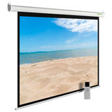 Cactus 180x240см MotoExpert CS-PSME-240x180-WT 4:3 настенно-потолочный рулонный белый (моторизованный привод)