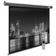 Cactus 175x280см SIlverMotoExpert CS-PSSME-280X175-DG 16:10 настенно-потолочный рулонный тёмно-серый (моторизованный привод) Cactus 175x280см SIlverMotoExpert CS-PSSME-280X175-DG 16:10 настенно-потолочный рулонный тёмно-серый (моторизованный привод)