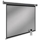 Cactus 175x280см SIlverMotoExpert CS-PSSME-280X175-DG 16:10 настенно-потолочный рулонный тёмно-серый (моторизованный привод) Cactus 175x280см SIlverMotoExpert CS-PSSME-280X175-DG 16:10 настенно-потолочный рулонный тёмно-серый (моторизованный привод)