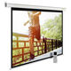 Cactus 175x280см MotoExpert CS-PSME-280x175-WT 16:10 настенно-потолочный рулонный белый (моторизованный привод)