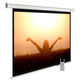 Cactus 165x220см MotoExpert CS-PSME-220x165-WT 4:3 настенно-потолочный рулонный белый (моторизованный привод) Cactus 165x220см MotoExpert CS-PSME-220x165-WT 4:3 настенно-потолочный рулонный белый (моторизованный привод)