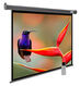 Cactus 138x220см SIlverMotoExpert CS-PSSME-220X138-DG 16:10 настенно-потолочный рулонный тёмно-серый (моторизованный привод)