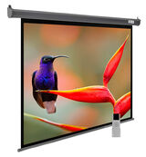 Cactus 138x220см SIlverMotoExpert CS-PSSME-220X138-DG 16:10 настенно-потолочный рулонный тёмно-серый (моторизованный привод)&nbsp;<img style='position: relative;margin:0' src='/image/only_to_order_edit.gif' alt='На заказ' title='На заказ' />