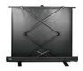 Cactus 135x180см FloorExpert CS-PSFLE-180X135 4:3 напольный рулонный Cactus 135x180см FloorExpert CS-PSFLE-180X135 4:3 напольный рулонный