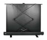 Cactus 120x160см FloorExpert CS-PSFLE-160X120 4:3 напольный рулонный Cactus 120x160см FloorExpert CS-PSFLE-160X120 4:3 напольный рулонный