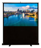 Cactus 120x160см FloorCompactExpert CS-PSFLCE-160X120 4:3 напольный рулонный