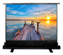 Cactus 113x200см FloorExpert CS-PSFLE-200X113 16:9 напольный рулонный Cactus 113x200см FloorExpert CS-PSFLE-200X113 16:9 напольный рулонный