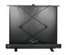 Cactus 113x200см FloorExpert CS-PSFLE-200X113 16:9 напольный рулонный Cactus 113x200см FloorExpert CS-PSFLE-200X113 16:9 напольный рулонный