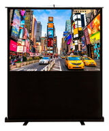 Cactus 113x200см FloorCompactExpert CS-PSFLCE-200X113 16:9 напольный рулонный