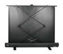 Cactus 102x180см FloorExpert CS-PSFLE-180X102 16:9 напольный рулонный Cactus 102x180см FloorExpert CS-PSFLE-180X102 16:9 напольный рулонный