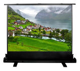 Cactus 102x180см FloorExpert CS-PSFLE-180X102 16:9 напольный рулонный