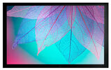 на раме Cactus 124x220см FrameExpert CS-PSFRE-220X124 16:9 настенный натяжной