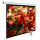 Cactus 150x200см SIlverMotoExpert CS-PSSME-200X150-WT 4:3 настенно-потолочный рулонный белый (моторизованный привод)