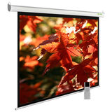 Cactus 150x200см SIlverMotoExpert CS-PSSME-200X150-WT 4:3 настенно-потолочный рулонный белый (моторизованный привод)