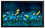 на раме Cactus 113x200см FrameExpert CS-PSFRE-200X113 16:9 настенный натяжной&nbsp;<img style='position: relative;margin:0' src='/image/only_to_order_edit.gif' alt='На заказ' title='На заказ' />