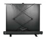 Cactus 90x160см FloorExpert CS-PSFLE-160X90 16:9 напольный рулонный Cactus 90x160см FloorExpert CS-PSFLE-160X90 16:9 напольный рулонный