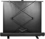 Cactus 90x160см FloorExpert CS-PSFLE-160X90 16:9 напольный рулонный Cactus 90x160см FloorExpert CS-PSFLE-160X90 16:9 напольный рулонный