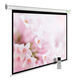 Cactus 240x240см MotoExpert CS-PSME-240x240-WT 1:1 настенно-потолочный рулонный белый (моторизованный привод)