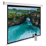 Cactus 150x200см MotoExpert CS-PSME-200x150-WT 4:3 настенно-потолочный рулонный белый (моторизованный привод)