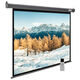 Cactus 188x300см SIlverMotoExpert CS-PSSME-300X188-DG 16:10 настенно-потолочный рулонный тёмно-серый (моторизованный привод) Cactus 188x300см SIlverMotoExpert CS-PSSME-300X188-DG 16:10 настенно-потолочный рулонный тёмно-серый (моторизованный привод)