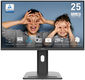 MSI PRO MP253P 24.5 MSI PRO MP253P 24.5