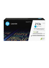 HP W2131X