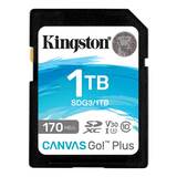 Kingston SDG3/ 1TB SDG3/1TB&nbsp;<img style='position: relative;margin:0' src='/image/only_to_order_edit.gif' alt='На заказ' title='На заказ' />