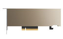 Nvidia Tesla A2