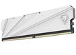 Netac Shadow S 16GB (2x8GB) DDR4-3600 (PC4-28800) C18 White 18-22-22-42 1.35V XMP Dual DIMM Kit Netac Shadow S 16GB (2x8GB) DDR4-3600 (PC4-28800) C18 White 18-22-22-42 1.35V XMP Dual DIMM Kit