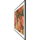 Samsung QE43LS03DAUXRU Samsung QE43LS03DAUXRU