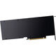 NVIDIA A100 80GB (900-21001-0020-100)