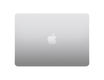 Apple Z1B8001BF