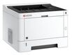 Kyocera ECOSYS P2235dw (1102RW3NL0) Kyocera ECOSYS P2235dw (1102RW3NL0)