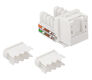LANMASTER
Модуль Keystone LANMASTER
Модуль Keystone