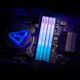 ADATA DDR5 DIMM 32GB 6000MHz 2*16GB 34-38-38 WHITE DUAL TRAY RGB