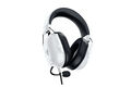 Razer RZ04-03241500-R3M1