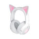 Razer RZ04-04860600-R3M1 Razer RZ04-04860600-R3M1
