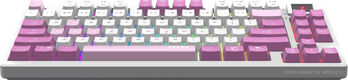 Keyboard MSI FORGE GK600 TKL Keyboard MSI FORGE GK600 TKL