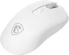 Mouse MSI VERSA 300 Mouse MSI VERSA 300