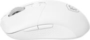 Mouse MSI VERSA 300 Mouse MSI VERSA 300