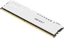 Kingston KF560C36BWE-32