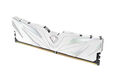 Netac Shadow II DDR5-6000 (PC5-48000) 16GB C38 38-48-48-96 1.35V XMP Memory module (DIMM) White
