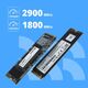 CBR SSD-256GB-M.2-BS24b