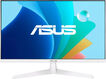 ASUS LCD 23.8