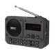 RITMIX RPR-010