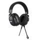 Acer AHW122 [ZL.HDSCC.01U] черный 2.1м мониторные USB оголовье