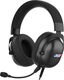 Acer AHW122 [ZL.HDSCC.01U] черный 2.1м мониторные USB оголовье