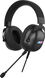 Acer AHW122 [ZL.HDSCC.01U] черный 2.1м мониторные USB оголовье