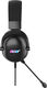 Acer AHW122 [ZL.HDSCC.01U] черный 2.1м мониторные USB оголовье