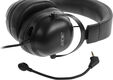 Acer AHW122 [ZL.HDSCC.01U] черный 2.1м мониторные USB оголовье